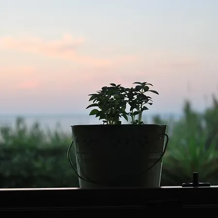 Apartment Ενοικιαζόμενα Διαμερίσματα Άρτεμις Skyros